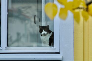 В Україні похолодає до нуля градусів: погода на вихідні