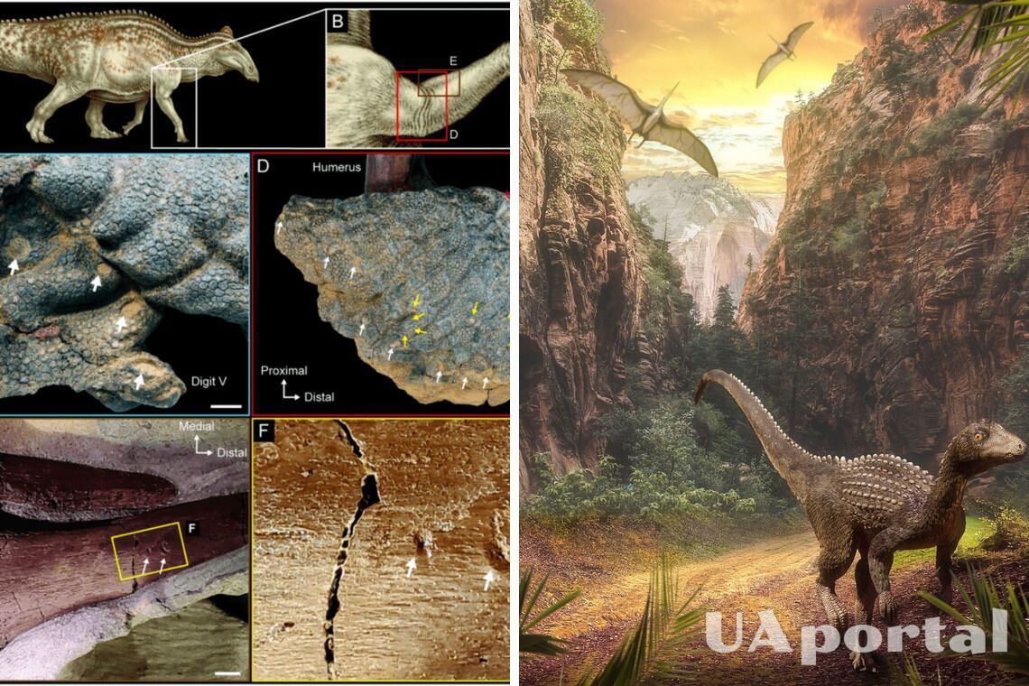 Вчені розкрили загадку решток динозавра, який жив 67 млн років тому
