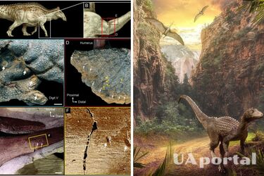 Вчені розкрили загадку решток динозавра, який жив 67 млн років тому