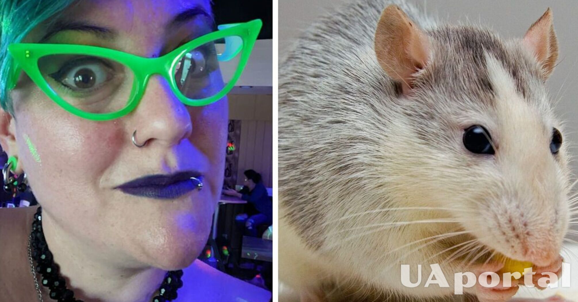Чехол на телефон из крысы – американка создала чехол и испугала пользователей Facebook
