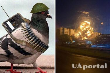 В российском Ейске упал военный самолет, пылает жилой дом (видео и фото)