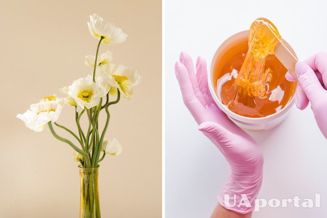 Спасает цветы и блюда: как можно использовать мед в быту