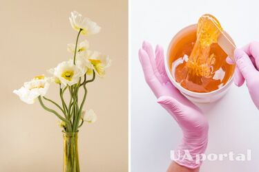 Спасает цветы и блюда: как можно использовать мед в быту