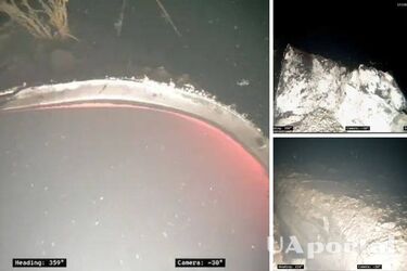 Вибухи у районі «Північних потоків» 1 і 2 скоріш за все були диверсією, встановили слідчі в Німеччині