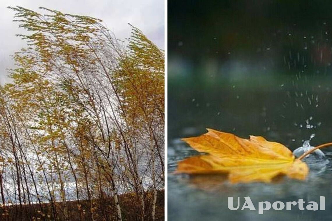 Пройдуть дощі та посилиться вітер: синоптики попередили про похолодання в України 