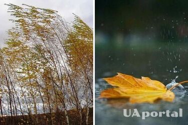 Пройдуть дощі та посилиться вітер: синоптики попередили про похолодання в України