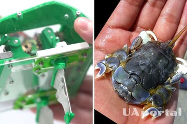 Знадобиться для дослідження Місяця: Вчені створили робота-краба, який за хвилину заривається у ґрунт (відео)