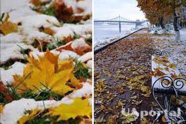 Возможен первый снег: синоптики рассказали о погоде на 20 октября