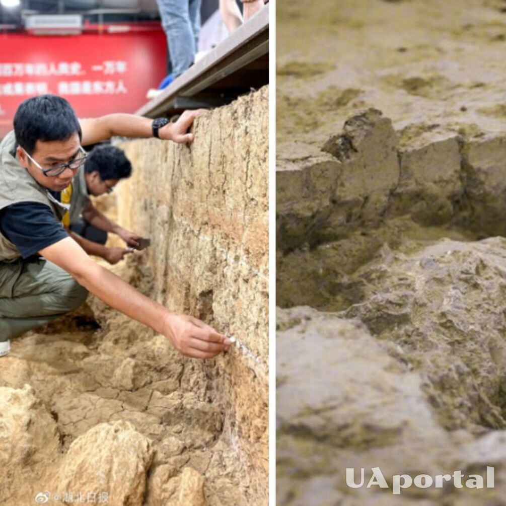 У Китаї археологи знайшли людський череп віком мільйон років (фото)