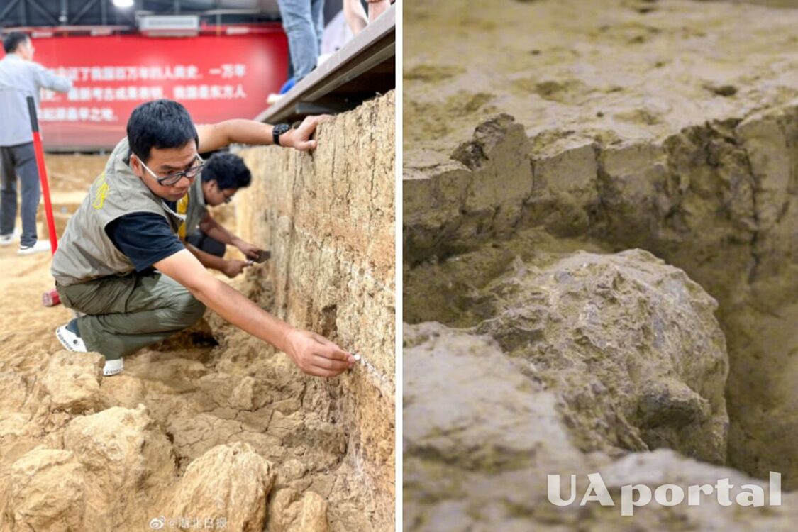 В Китае археологи обнаружили человеческий череп в возрасте миллиона лет (фото)