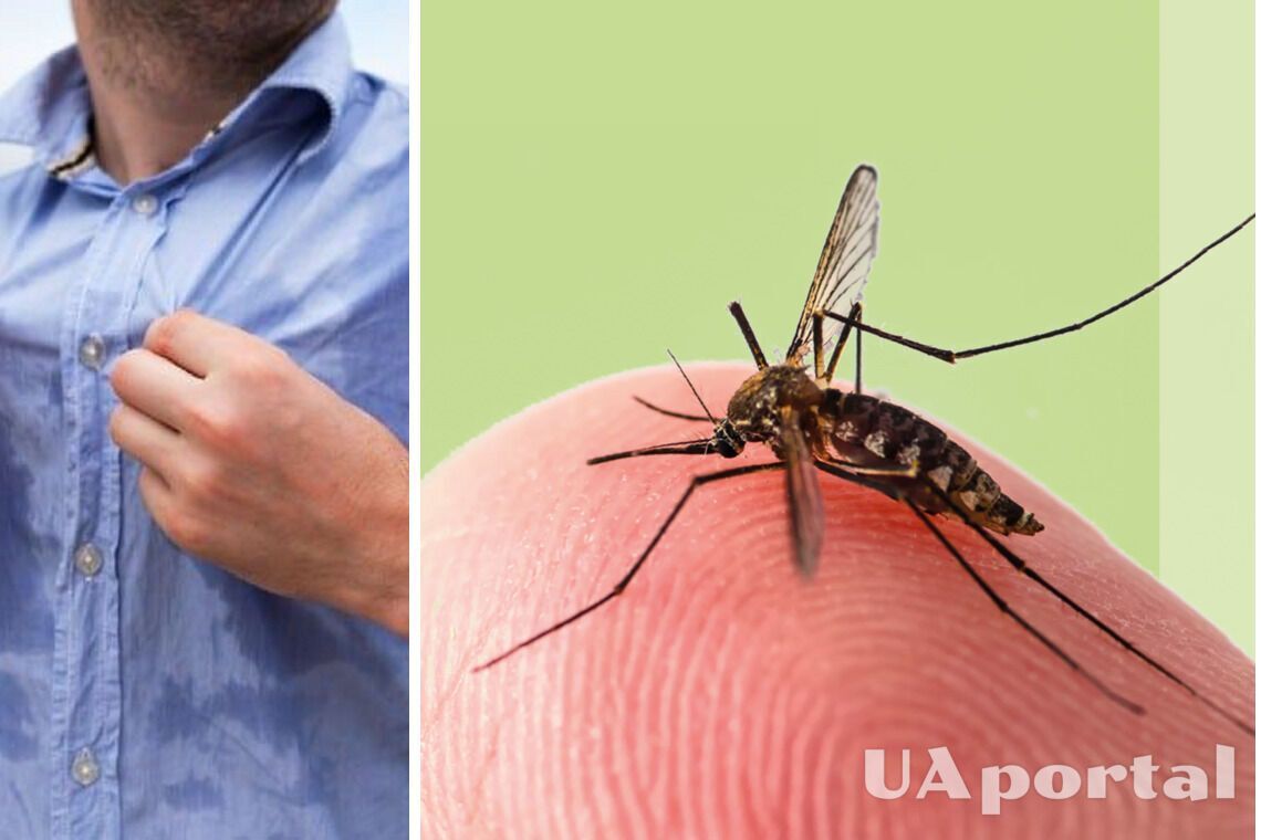 Ученые назвали вещества, наиболее привлекающие комаров