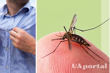 Вчені назвали речовини, які найбільше приваблюють комарів