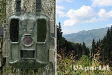 На Закарпатті лісники сфотографували дуже рідкісного хижака (фото)