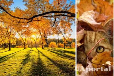 Потеплеет до +14: синоптики дали прогноз погоды на 21 октября