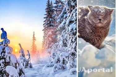 Буде теплішою за норму: синоптики дали прогноз на цьогорічну зиму
