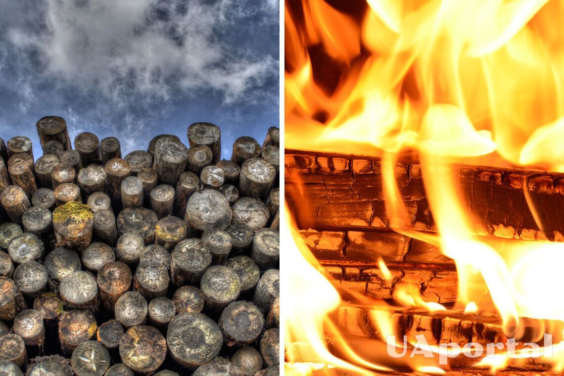 Эксперты рассказали, что делать, чтобы дрова горели дольше