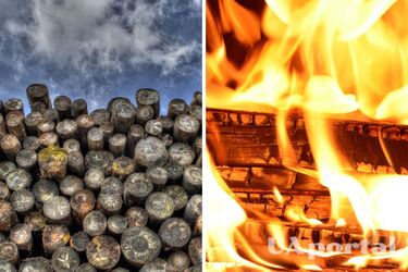 Эксперты рассказали, что делать, чтобы дрова горели дольше