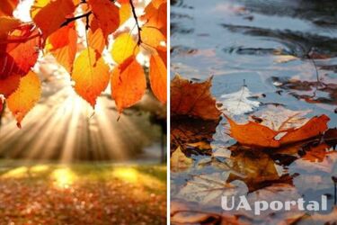 У суботу сухо, а в неділю дощі: якою буде погода на вихідних