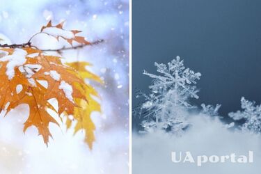 В Україні випав перший сніг (відео)