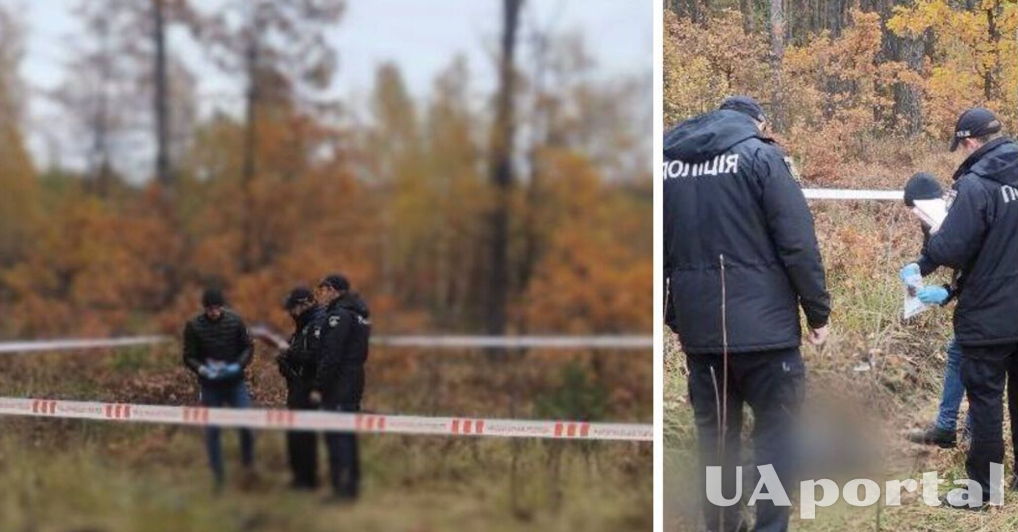 Війна в Україні - вбитого мирного мешканця знайшла поліція у лісі під Києвом