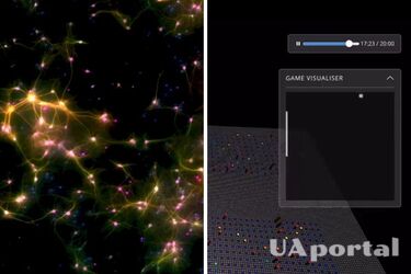 Клітини людського мозку у чаші Петрі зіграли у 'Пінг-понг' (відео)