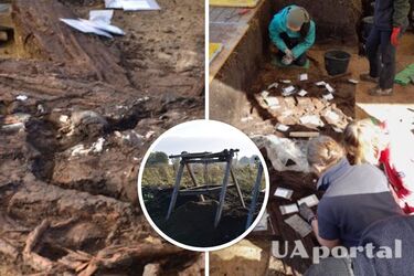 Найденные в болоте 10 500-летние кости оказались древнейшими останками человека в Германии