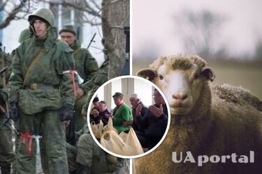 Мобилизация в России - в 16 мечетях Башкирии прошли жертвоприношение овец для благосостояния оккупантов