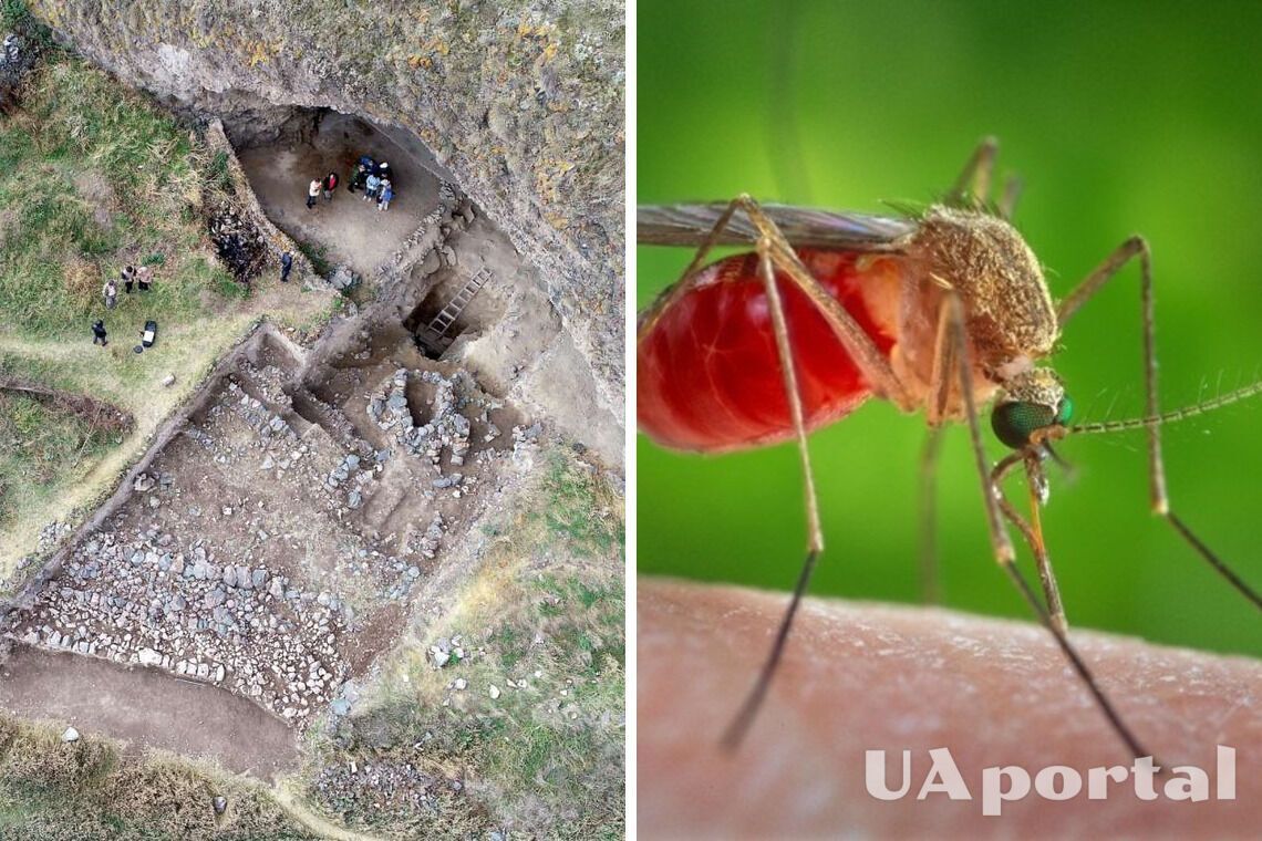 Генетики розповіли, як печерні люди рятувалися від комарів 