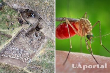 Генетики рассказали, как пещерные люди спасались от комаров