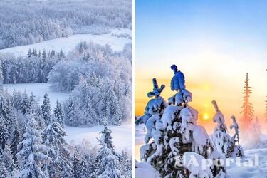 Від -12 до +7 градусів: синоптики дали прогноз на зиму 2022-2023