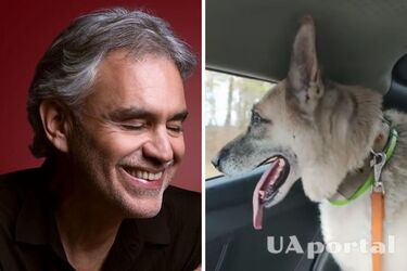 Андреа Бочелли приютил раненую собаку Джека из Купянска, почти потерявшего слух (видео)