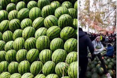 Росіяни в Іжевську влаштували давку за викраденими з Херсонщини кавунами (відео)
