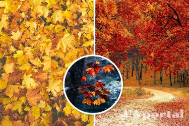 Погода в Украине до конца октября - синоптики предупредили о потеплении