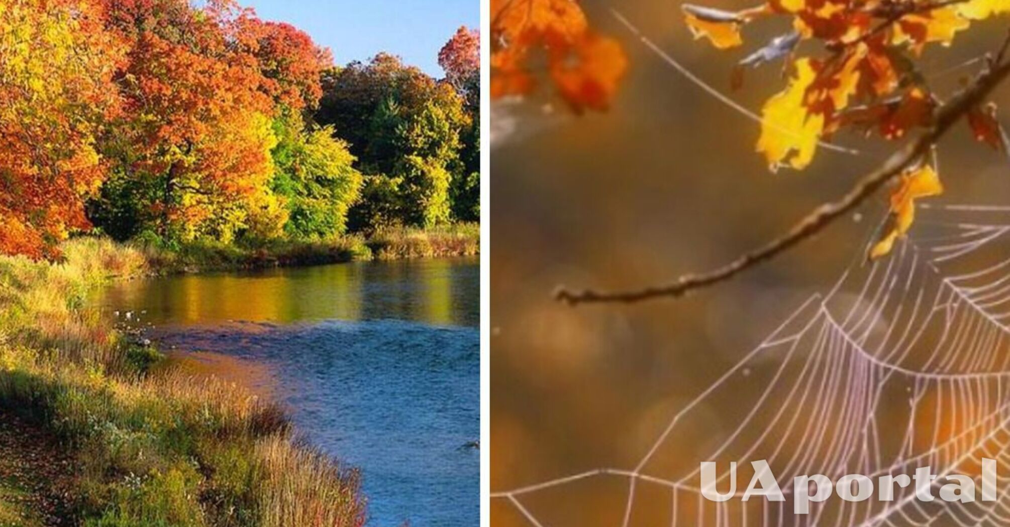 'Це вже буде остання хвиля тепла': синоптик розповів скільки триватиме друге бабине літо