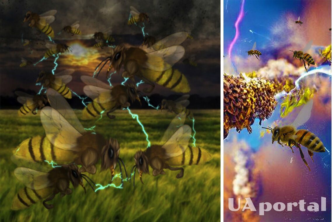Пчелы и другие насекомые могут наэлектризовать атмосферу