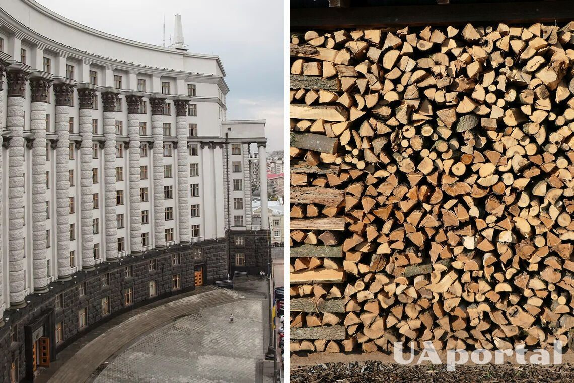 Уряд підготував для українців 5 тисяч вагонів безкоштовних дров для опалення