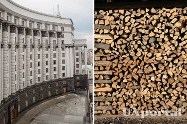 Правительство подготовило для украинцев 5 тысяч вагонов бесплатных дров для отопления