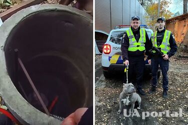Полицейские спасли пса, упавшего в трехметровый колодец в Буче