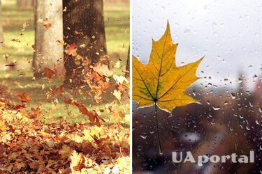 Ожидается дождь и порывистый ветер: синоптики дали прогноз на четверг