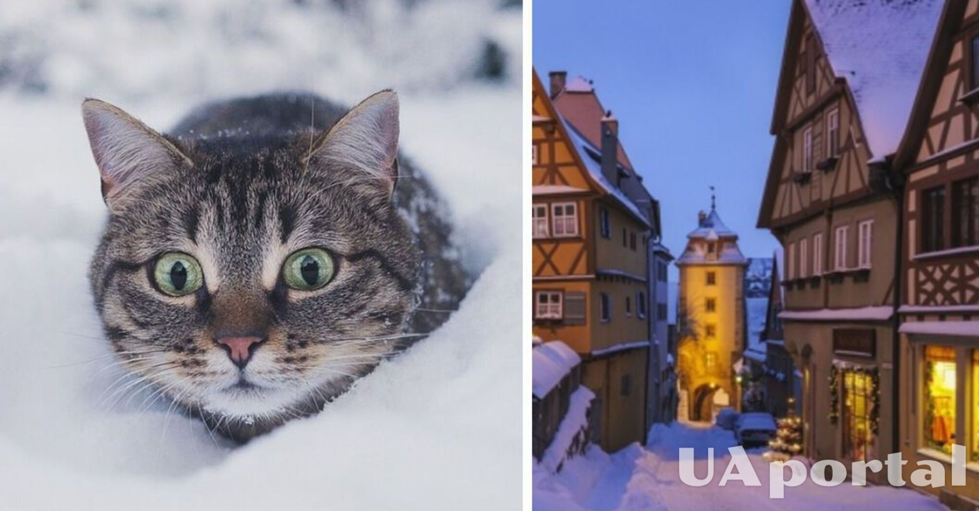 'Йде тенденція на глобальне потепління': синоптик розповів про погоду взимку