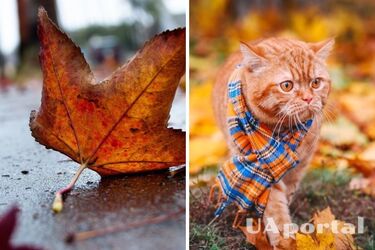 В Украину придет резкое похолодание: названа дата