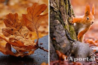 'Накриє відчутне похолодання': народний синоптик дав прогноз на листопад