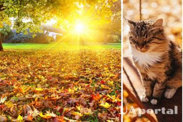 К +19 и солнце: синоптики дали прогноз на последние выходные октября