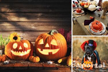 Ночь всех святых: какие быстрые десерты приготовить на Хэллоуин