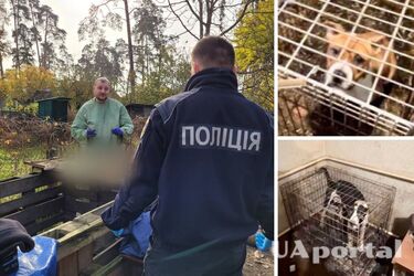 Правоохранители обнаружили девять трупов собак: после смерти жены житель Бучи замордовал животных (фото, видео)
