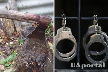 Не втримала агресію та схопила сокиру: на Сумщині жінка вбила свого співмешканця