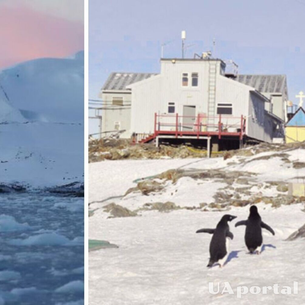 Украинские полярники показали ледяную красоту Антарктиды с дрона (видео)