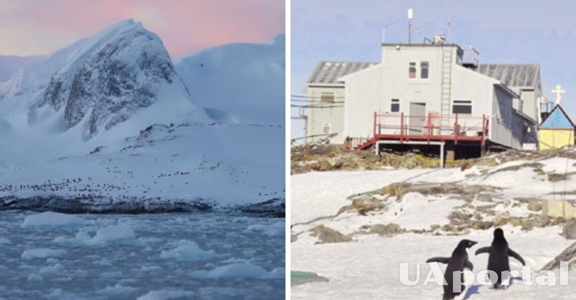 Украинские полярники показали ледяную красоту Антарктиды с дрона (видео)
