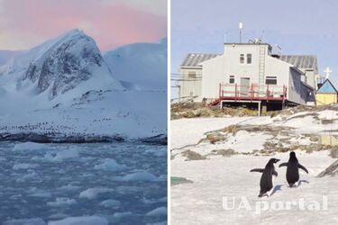 Украинские полярники показали ледяную красоту Антарктиды с дрона (видео)