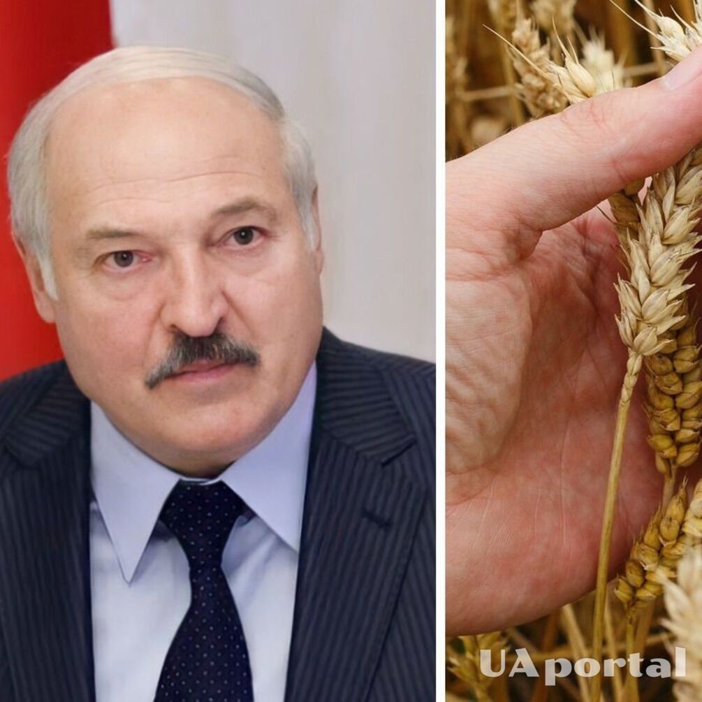'Мобилизуйте всех, учащихся также': Лукашенко объявил мобилизацию для сбора урожая